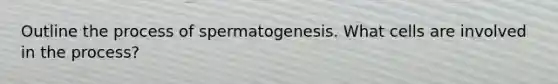 Outline the process of spermatogenesis. What cells are involved in the process?