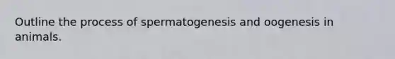 Outline the process of spermatogenesis and oogenesis in animals.