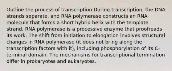 Outline the process of transcription During transcription, the DNA strands separate, and RNA polymerase constructs an RNA molecule that forms a short hybrid helix with the template strand. RNA polymerase is a processive enzyme that proofreads its work. The shift from initiation to elongation involves structural changes in RNA polymerase (it does not bring along the transcription factors with it), including phosphorylation of its C-terminal domain. The mechanisms for transcriptional termination differ in prokaryotes and eukaryotes.