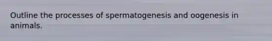 Outline the processes of spermatogenesis and oogenesis in animals.