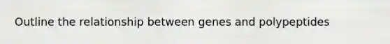 Outline the relationship between genes and polypeptides