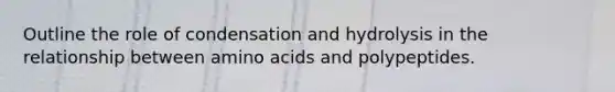 Outline the role of condensation and hydrolysis in the relationship between amino acids and polypeptides.