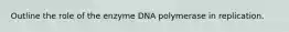 Outline the role of the enzyme DNA polymerase in replication.