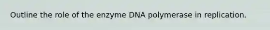 Outline the role of the enzyme DNA polymerase in replication.