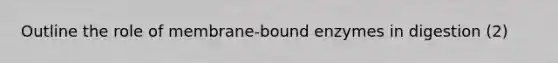 Outline the role of membrane-bound enzymes in digestion (2)