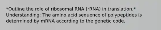 *Outline the role of ribosomal RNA (rRNA) in translation.* Understanding: The amino acid sequence of polypeptides is determined by mRNA according to the genetic code.