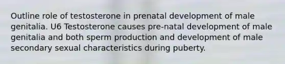 Outline role of testosterone in prenatal development of male genitalia. U6 Testosterone causes pre-natal development of male genitalia and both sperm production and development of male secondary sexual characteristics during puberty.