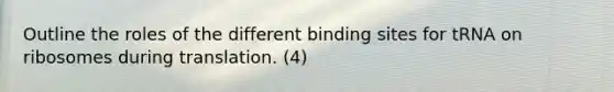 Outline the roles of the different binding sites for tRNA on ribosomes during translation. (4)