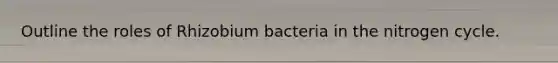 Outline the roles of Rhizobium bacteria in the nitrogen cycle.