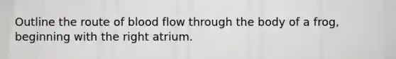 Outline the route of blood flow through the body of a frog, beginning with the right atrium.