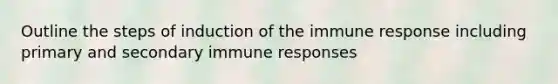 Outline the steps of induction of the immune response including primary and secondary immune responses