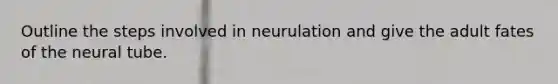 Outline the steps involved in neurulation and give the adult fates of the neural tube.