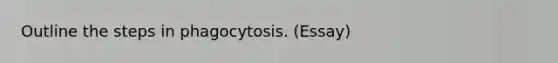 Outline the steps in phagocytosis. (Essay)