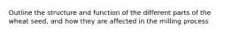 Outline the structure and function of the different parts of the wheat seed, and how they are affected in the milling process