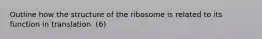 Outline how the structure of the ribosome is related to its function in translation. (6)