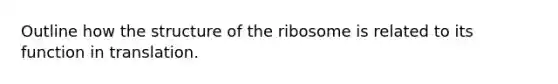 Outline how the structure of the ribosome is related to its function in translation.