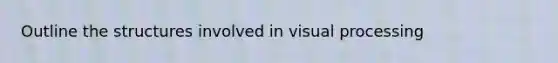 Outline the structures involved in visual processing