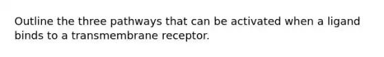 Outline the three pathways that can be activated when a ligand binds to a transmembrane receptor.