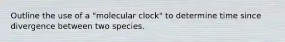 Outline the use of a "molecular clock" to determine time since divergence between two species.