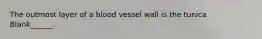 The outmost layer of a blood vessel wall is the tunica Blank______.