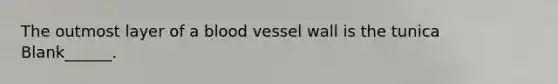 The outmost layer of a blood vessel wall is the tunica Blank______.