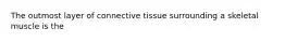 The outmost layer of connective tissue surrounding a skeletal muscle is the