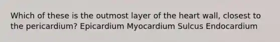 Which of these is the outmost layer of the heart wall, closest to the pericardium? Epicardium Myocardium Sulcus Endocardium