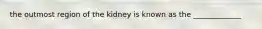 the outmost region of the kidney is known as the _____________