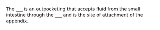 The ___ is an outpocketing that accepts fluid from the small intestine through the ___ and is the site of attachment of the appendix.