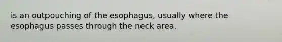 is an outpouching of the esophagus, usually where the esophagus passes through the neck area.