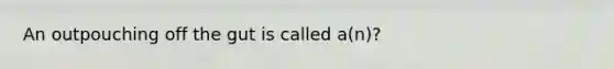 An outpouching off the gut is called a(n)?