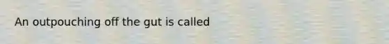 An outpouching off the gut is called