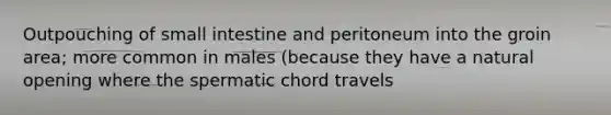 Outpouching of small intestine and peritoneum into the groin area; more common in males (because they have a natural opening where the spermatic chord travels