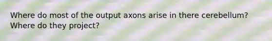 Where do most of the output axons arise in there cerebellum? Where do they project?