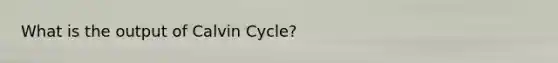 What is the output of Calvin Cycle?