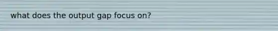 what does the output gap focus on?