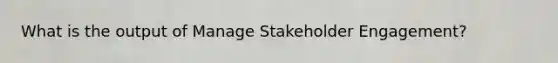 What is the output of Manage Stakeholder Engagement?