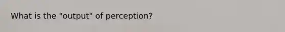 What is the "output" of perception?