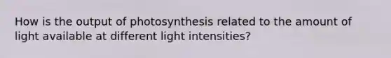 How is the output of photosynthesis related to the amount of light available at different light intensities?