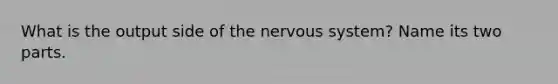 What is the output side of the <a href='https://www.questionai.com/knowledge/kThdVqrsqy-nervous-system' class='anchor-knowledge'>nervous system</a>? Name its two parts.