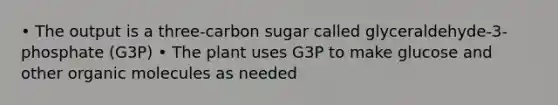 • The output is a three-carbon sugar called glyceraldehyde-3-phosphate (G3P) • The plant uses G3P to make glucose and other organic molecules as needed