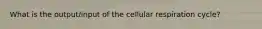 What is the output/input of the cellular respiration cycle?