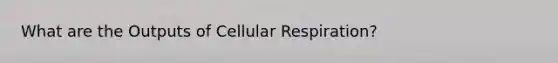 What are the Outputs of Cellular Respiration?