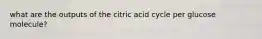 what are the outputs of the citric acid cycle per glucose molecule?