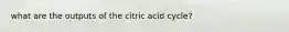 what are the outputs of the citric acid cycle?