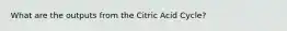 What are the outputs from the Citric Acid Cycle?