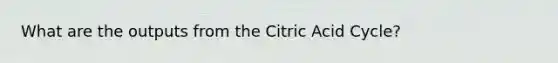 What are the outputs from the Citric Acid Cycle?