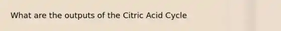 What are the outputs of the Citric Acid Cycle