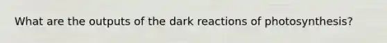 What are the outputs of the dark reactions of photosynthesis?