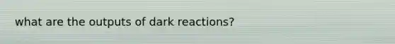 what are the outputs of dark reactions?